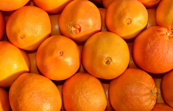 Orange Navel de Table
