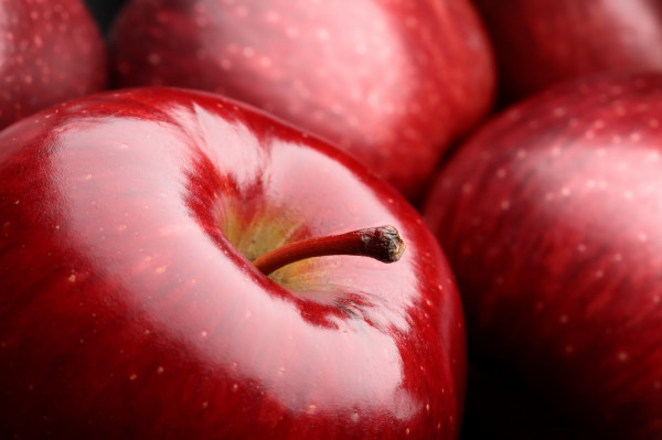 Pomme Dalinette bio