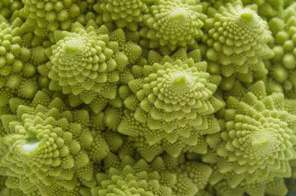 Chou Romanesco