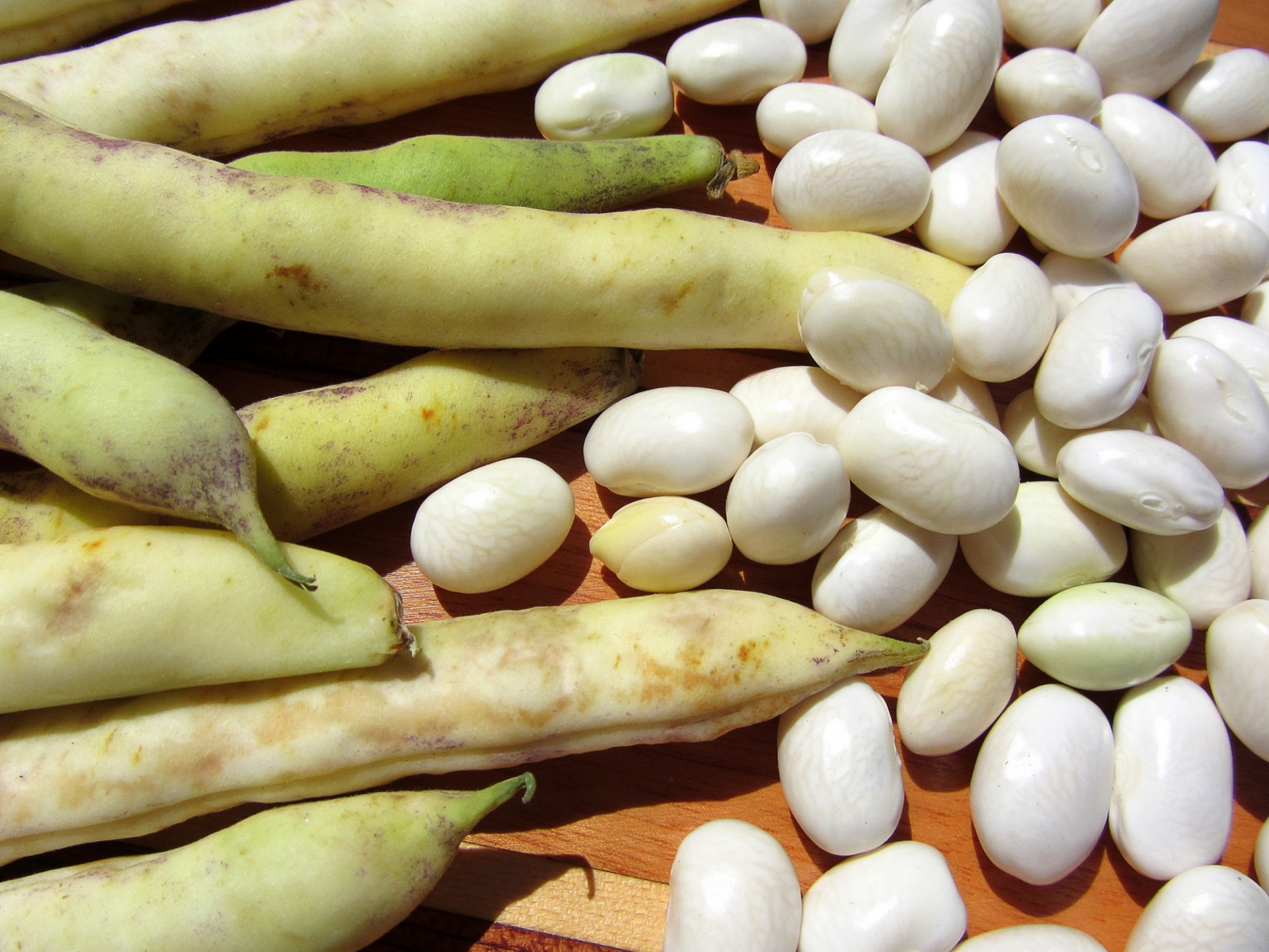 Haricot Coco de Paimpol