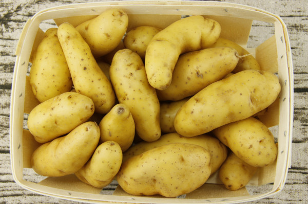 Pomme de Terre Ratte du Touquet