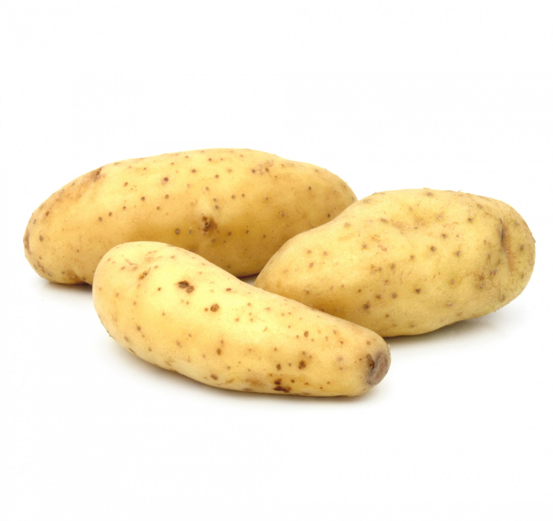 Pomme de Terre Ratte du Touquet
