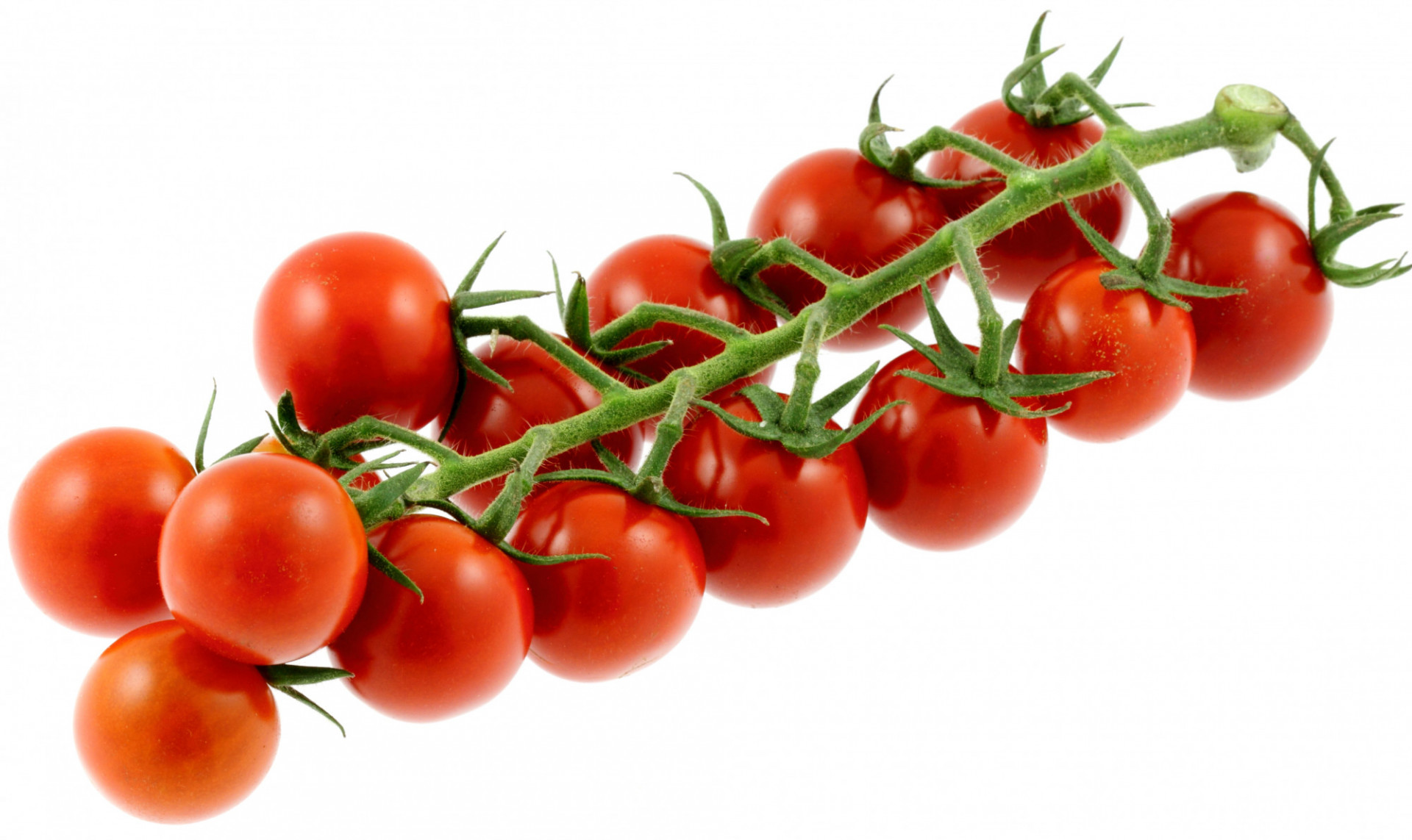 Tomate  Grappe Extra