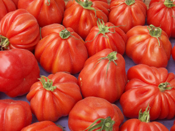 Tomate Cotelée type Coeur de Boeuf