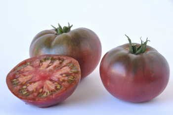 Tomate Cotelée type Ancienne Noire de Crimée